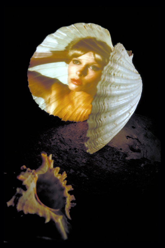 'Sea Nymph's Mirror' by John Neville Cohen