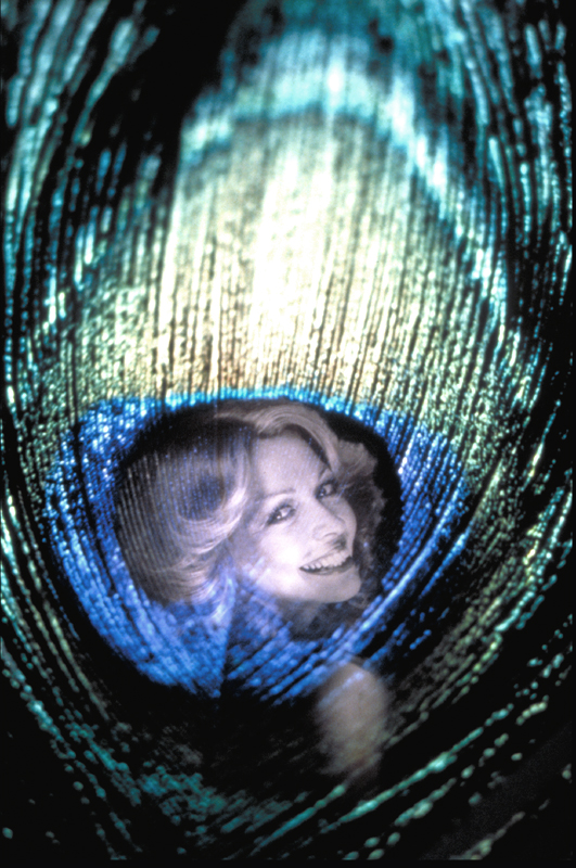 Beauty Is, Painting with Light Projection Photography with Kodachrome Transparencies by John Neville Cohen.