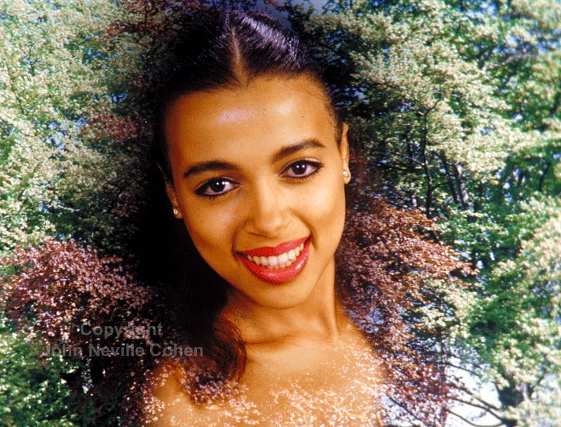Caressing Trees, Painting with Light Projection Photography with Kodachrome Transparencies by John Neville Cohen