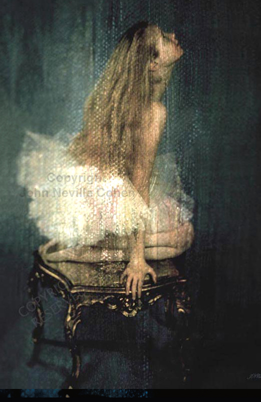 Cygnet-Painting-with-Light-Projection-Photography-with-Kodachrome-by-John-Neville-Cohen.
