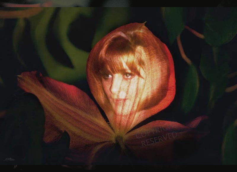 Flower-Maiden-Painting-with-Light-Projection-Photography-with-Kodachrome-by-John-Neville-Cohen.