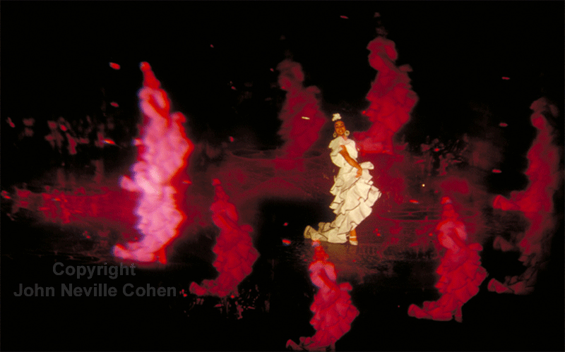 Fiery Flamenco, by John Neville Cohen.