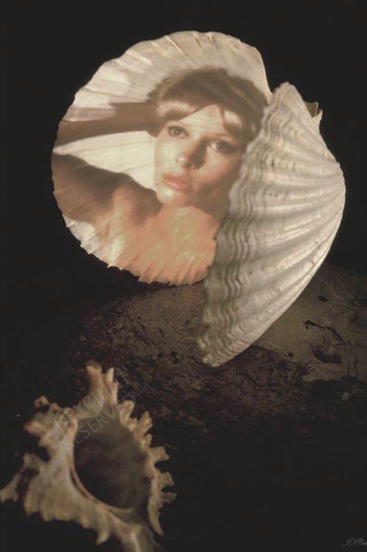 Sea Nymth's Mirror, by John Neville Cohen.