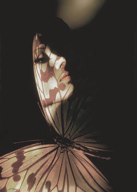 Madam Butterfly Painting with Light Projection Photography with Kodachrome by John Neville Cohen.