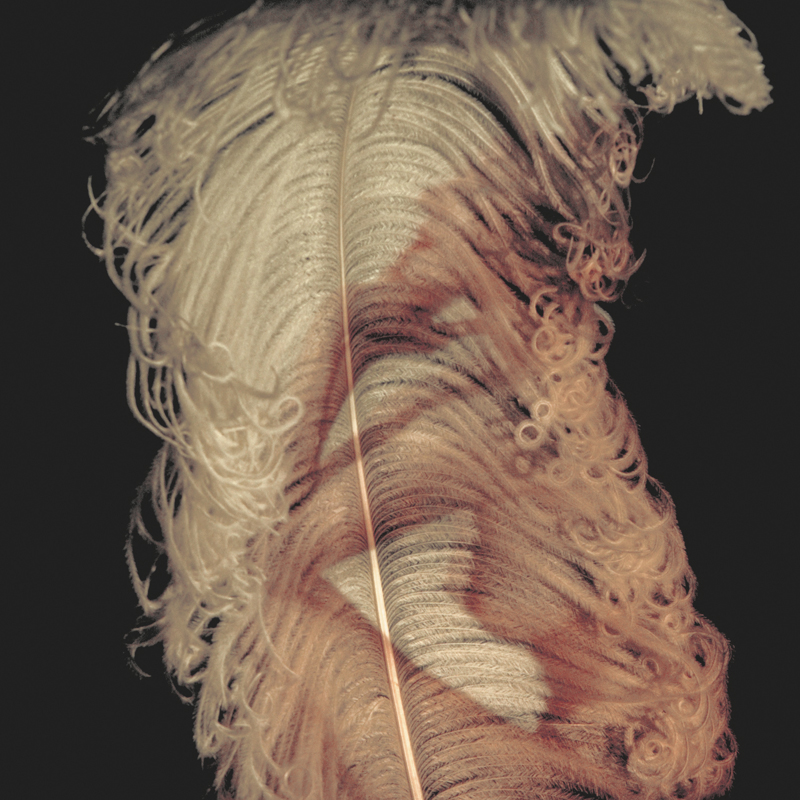 Nude and Feather-Painting-with-Light-Projection-Photography-with-Kodachrome-by-John-Neville-Cohen.