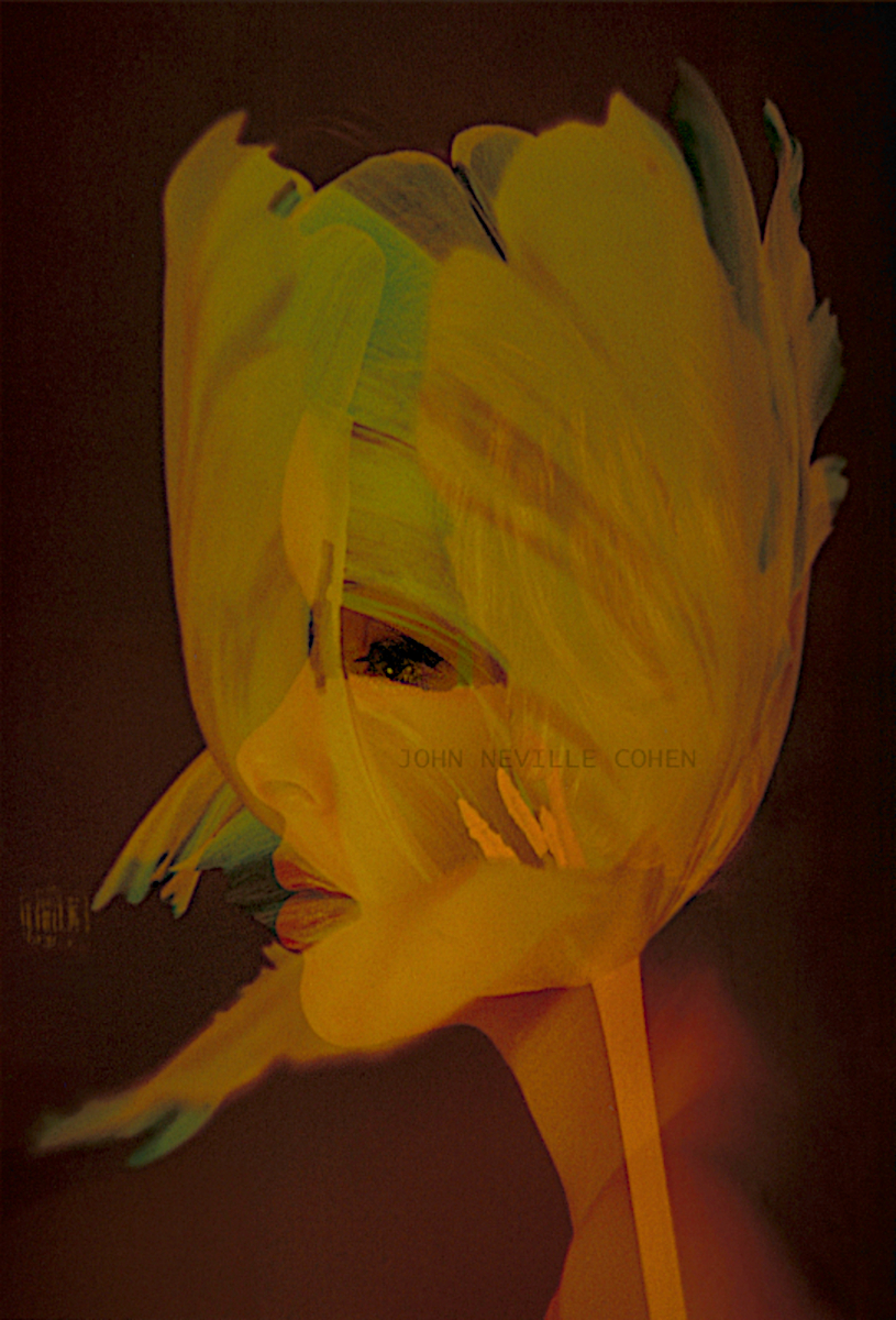 Spirit of Spring, Painting with Light Projection Photography with Kodachrome Transparencies by John Neville Cohen.