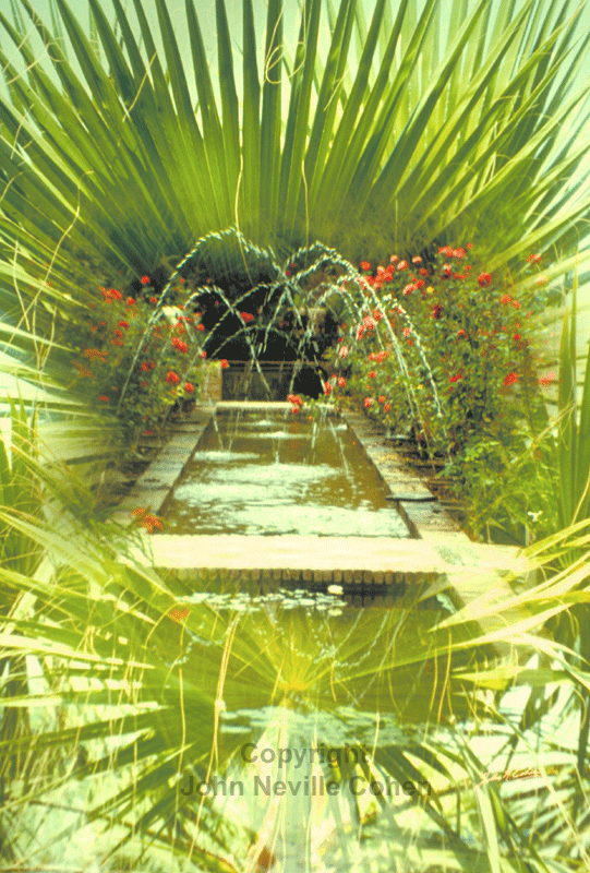 Water Garden, Painting with Light Projection Photography with Kodachrome Transparencies by John Neville Cohen, The Magic Lantern, reversal film images.