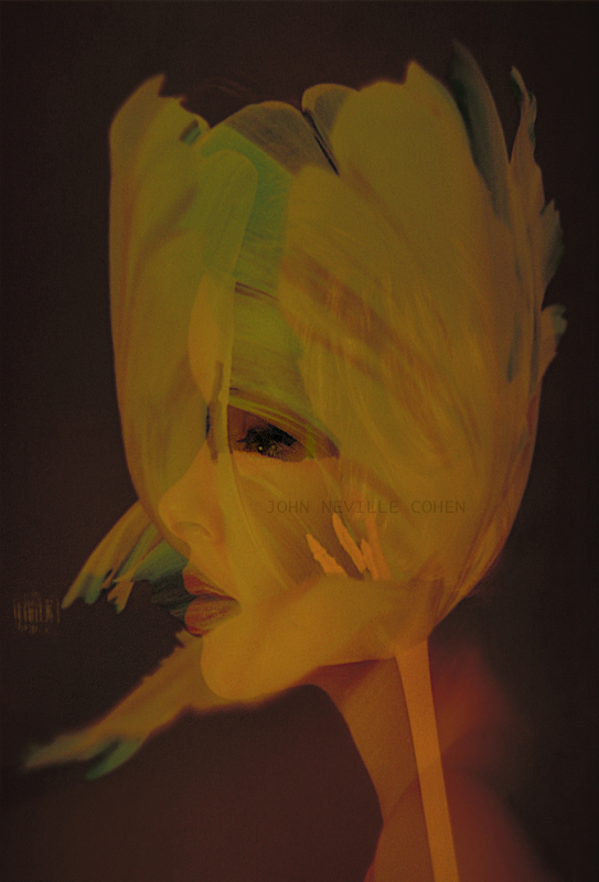 Spirit of Spring, Painting with Light Projection Photography with Kodachrome Transparencies by John Neville Cohen.